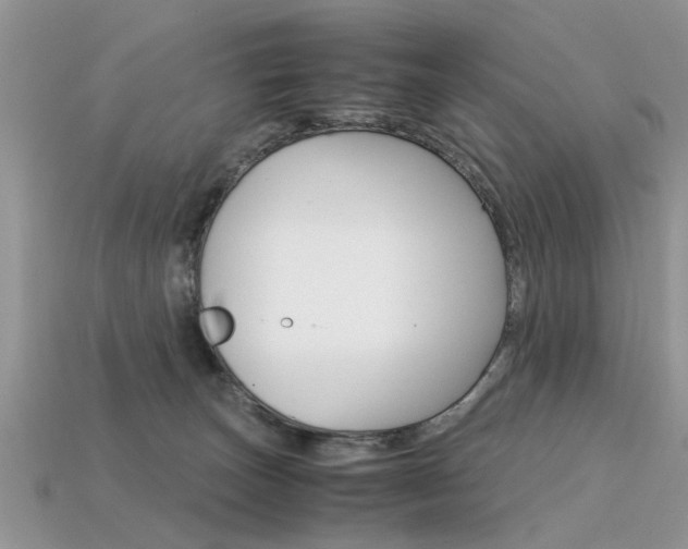 X0000113600179200909181116