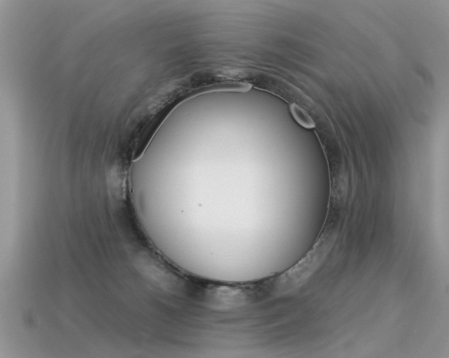 X0000113600180200909181116