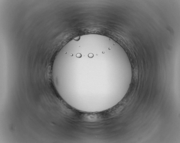 X0000113600181200909181117