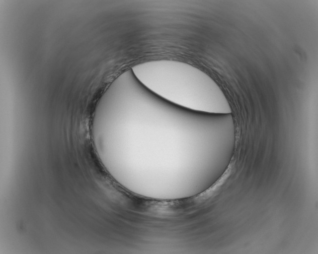 X0000113600182200909181117