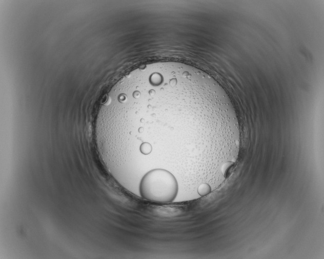 X0000113600183200909181117