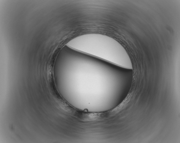 X0000113600184200909181117