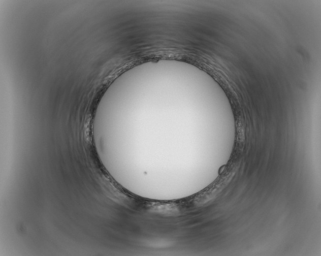 X0000113600185200909181117