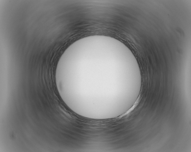 X0000113600186200909181117