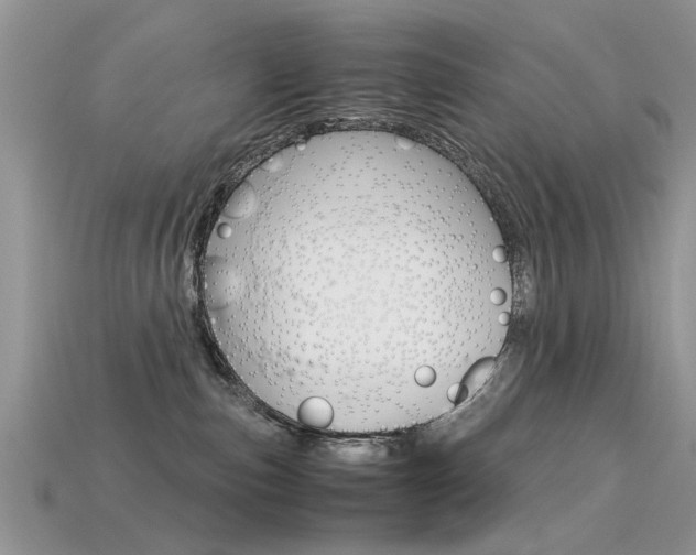 X0000113600187200909181117