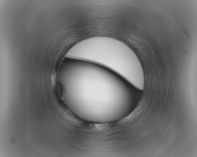 X0000113600188200909181117