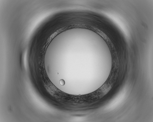 X0000113600189200909181117