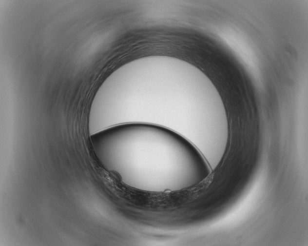 X0000113600190200909181117