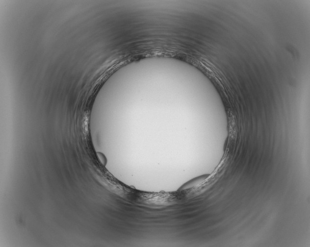 X0000113600191200909181117