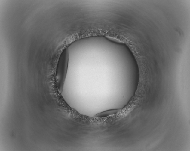 X0000113600192200909181117