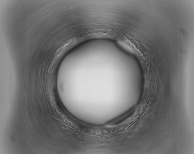 X0000113600193200909181116