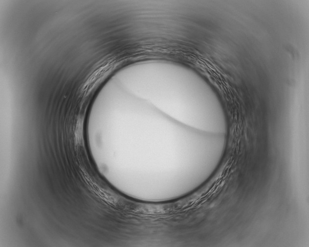 X0000113600194200909181116