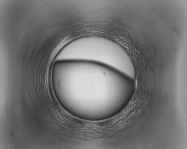 X0000113600195200909181116