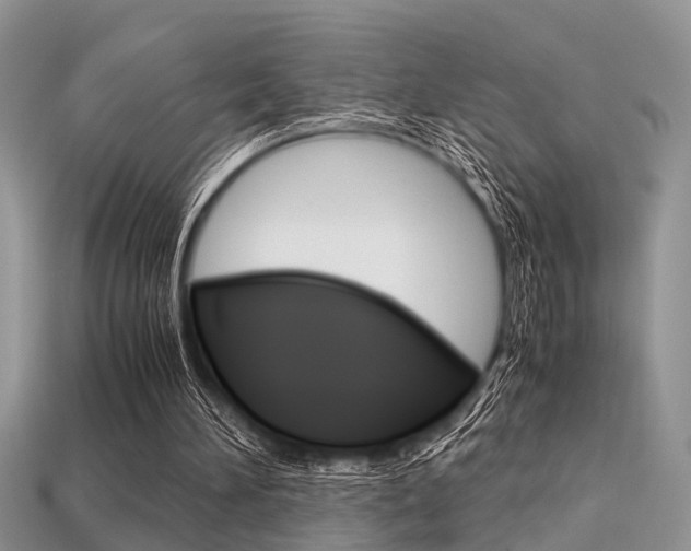 X0000113600196200909181116