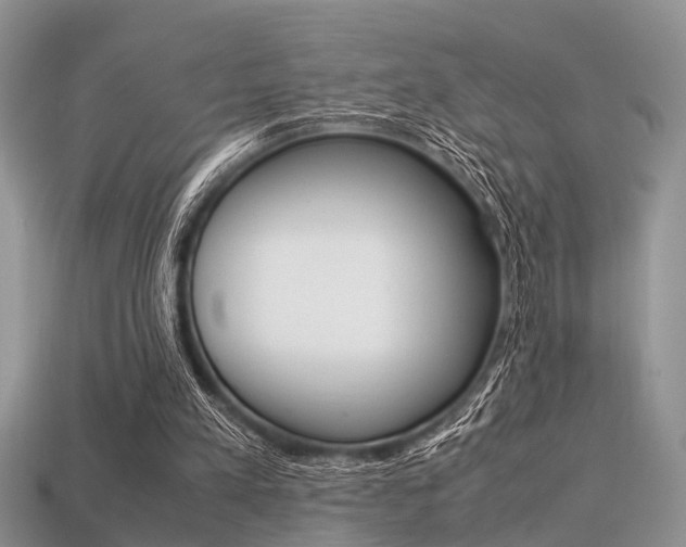 X0000113600197200909181116