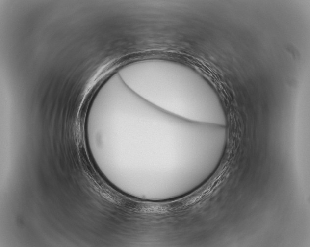 X0000113600198200909181116