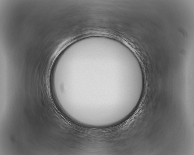 X0000113600199200909181116