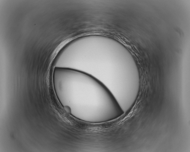 X0000113600200200909181116