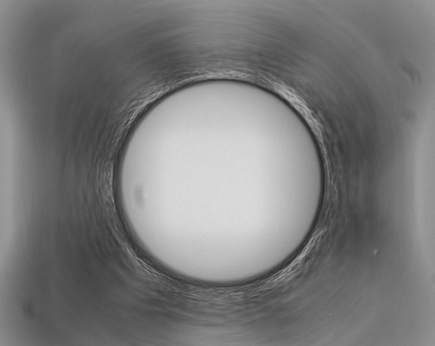 X0000113600201200909181116