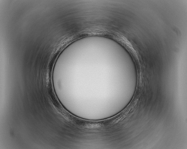 X0000113600202200909181116