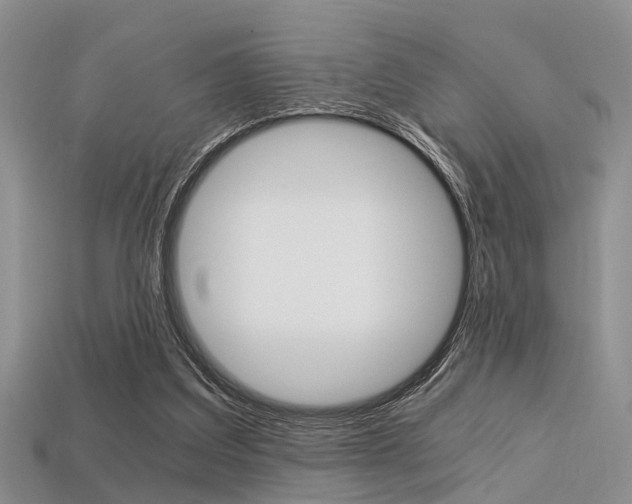 X0000113600203200909181116