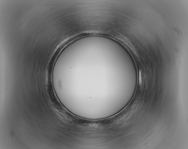 X0000113600204200909181116