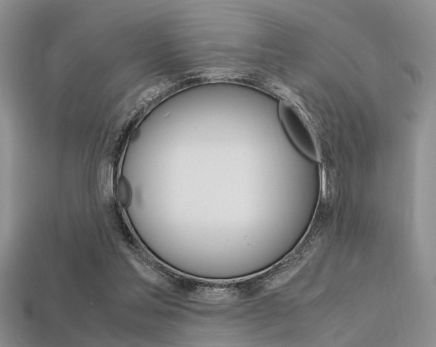 X0000113600205200909181116