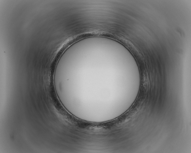 X0000113600208200909181116