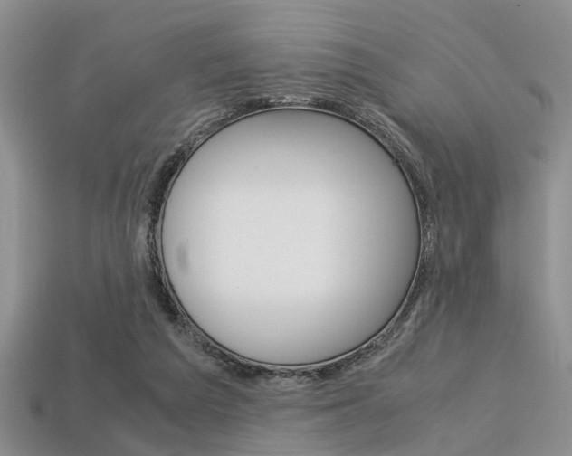 X0000113600209200909181116