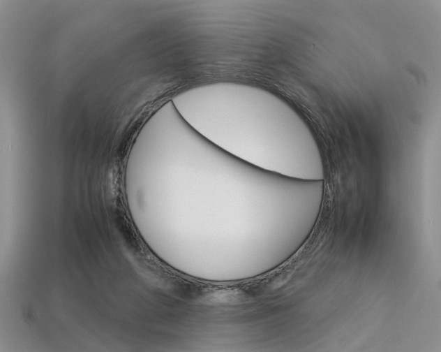 X0000113600210200909181116