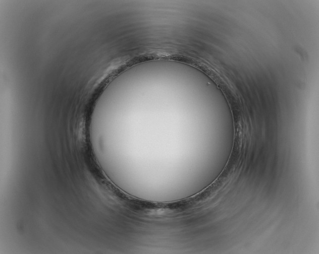 X0000113600212200909181116