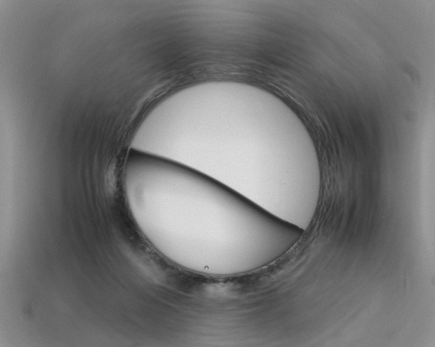 X0000113600216200909181116