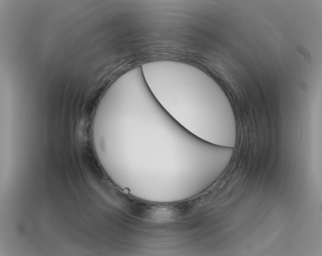 X0000113600218200909181116