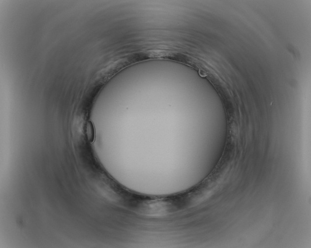 X0000113600219200909181116