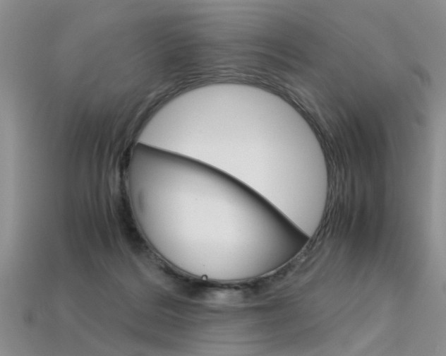 X0000113600220200909181116