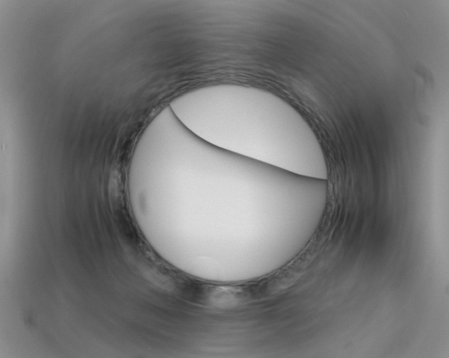 X0000113600222200909181116