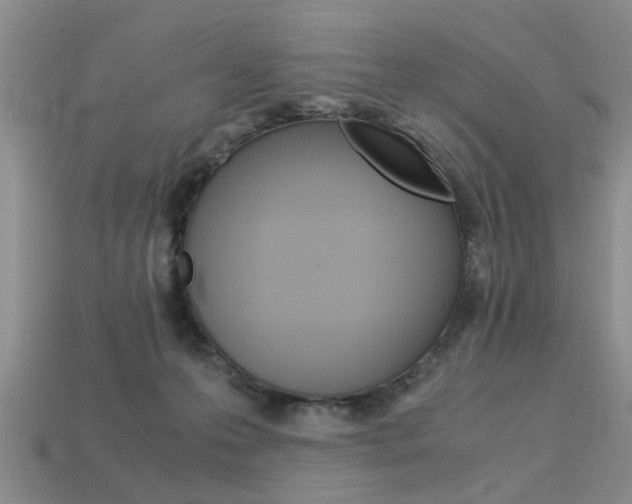 X0000113600223200909181116