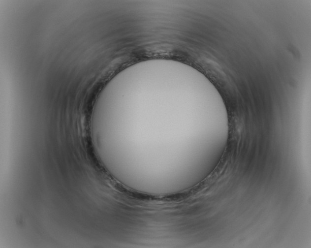 X0000113600224200909181116