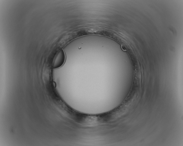 X0000113600227200909181116