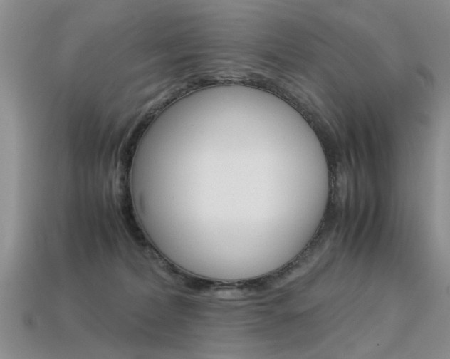 X0000113600228200909181116