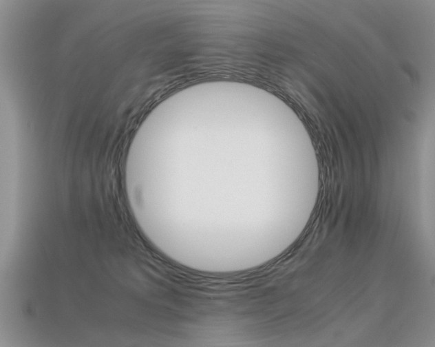 X0000113600229200909181116