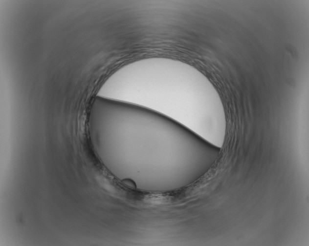 X0000113600231200909181116