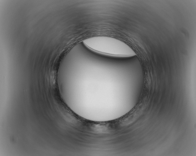 X0000113600232200909181116