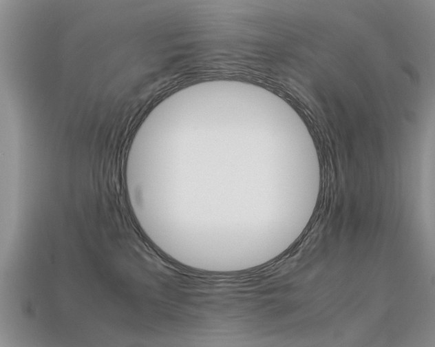 X0000113600233200909181116