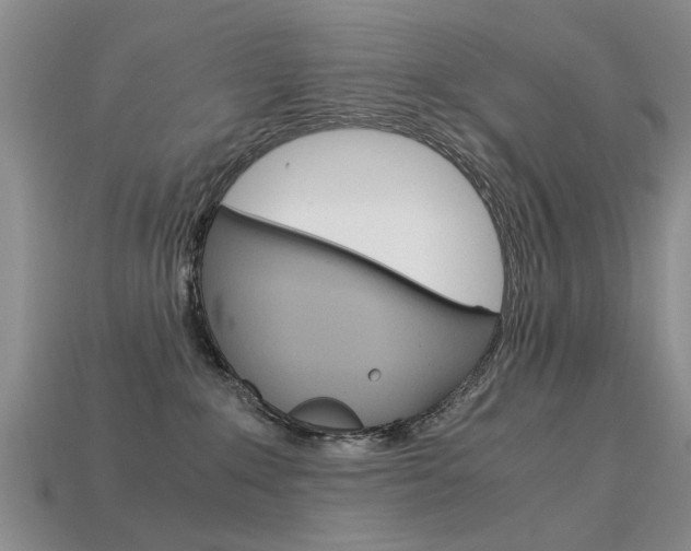 X0000113600235200909181116