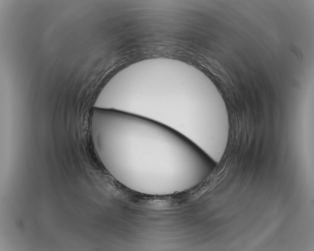 X0000113600236200909181115