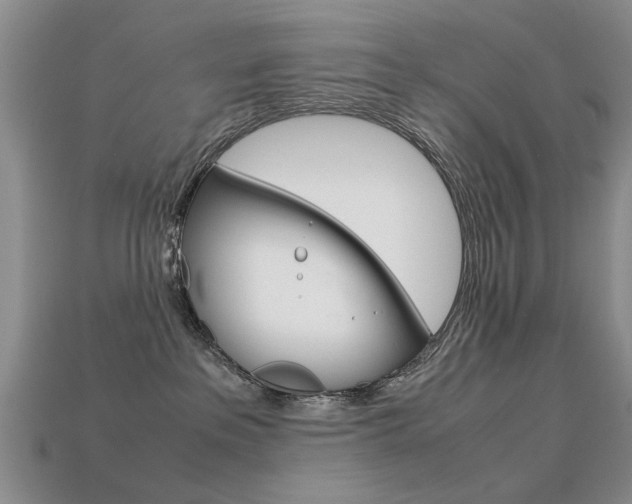 X0000113600237200909181115