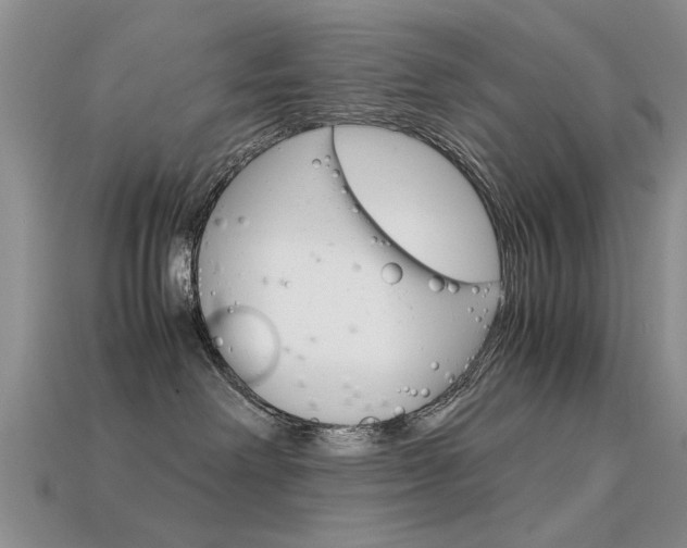 X0000113600238200909181115