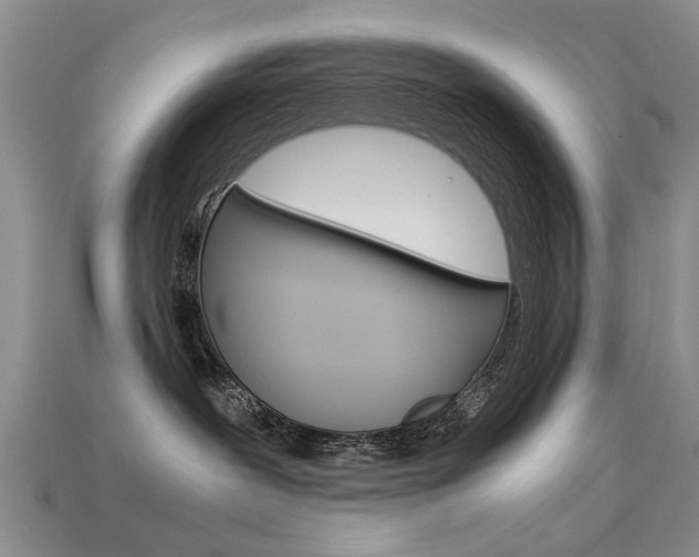 X0000113600239200909181115