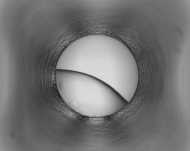 X0000113600240200909181115